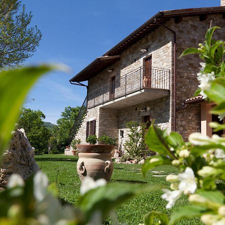 Вилла Relais Parco Del Subasio Пьяно-делле-Пьеве Экстерьер фото