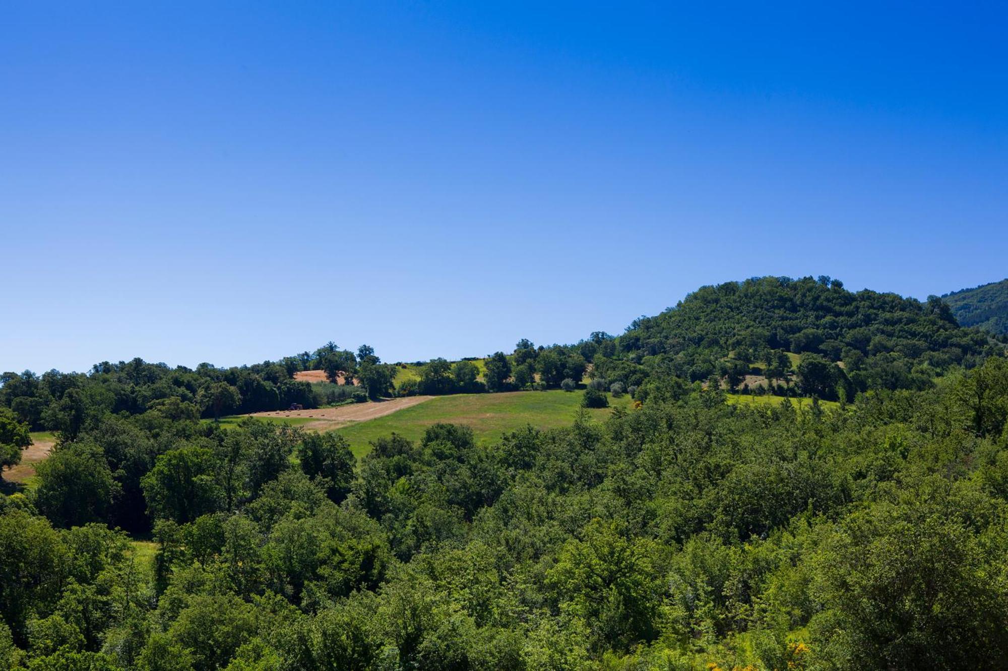 Вилла Relais Parco Del Subasio Пьяно-делле-Пьеве Экстерьер фото