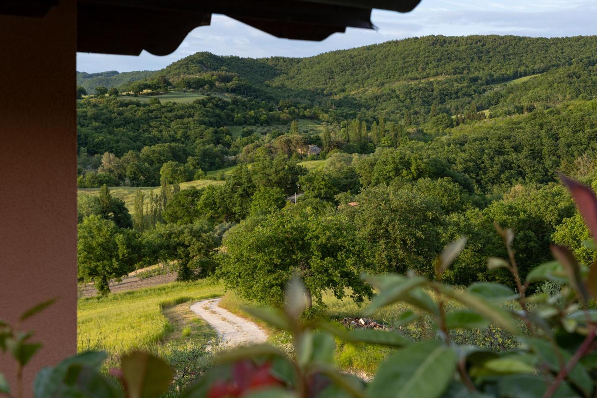 Вилла Relais Parco Del Subasio Пьяно-делле-Пьеве Экстерьер фото